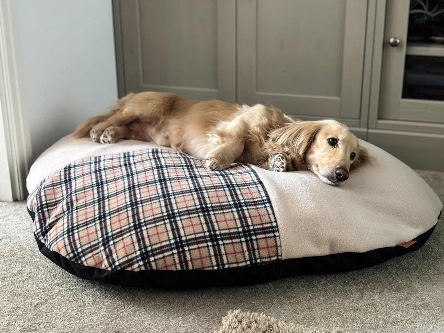 Eco - Pizza Beds - Hugo and Ted