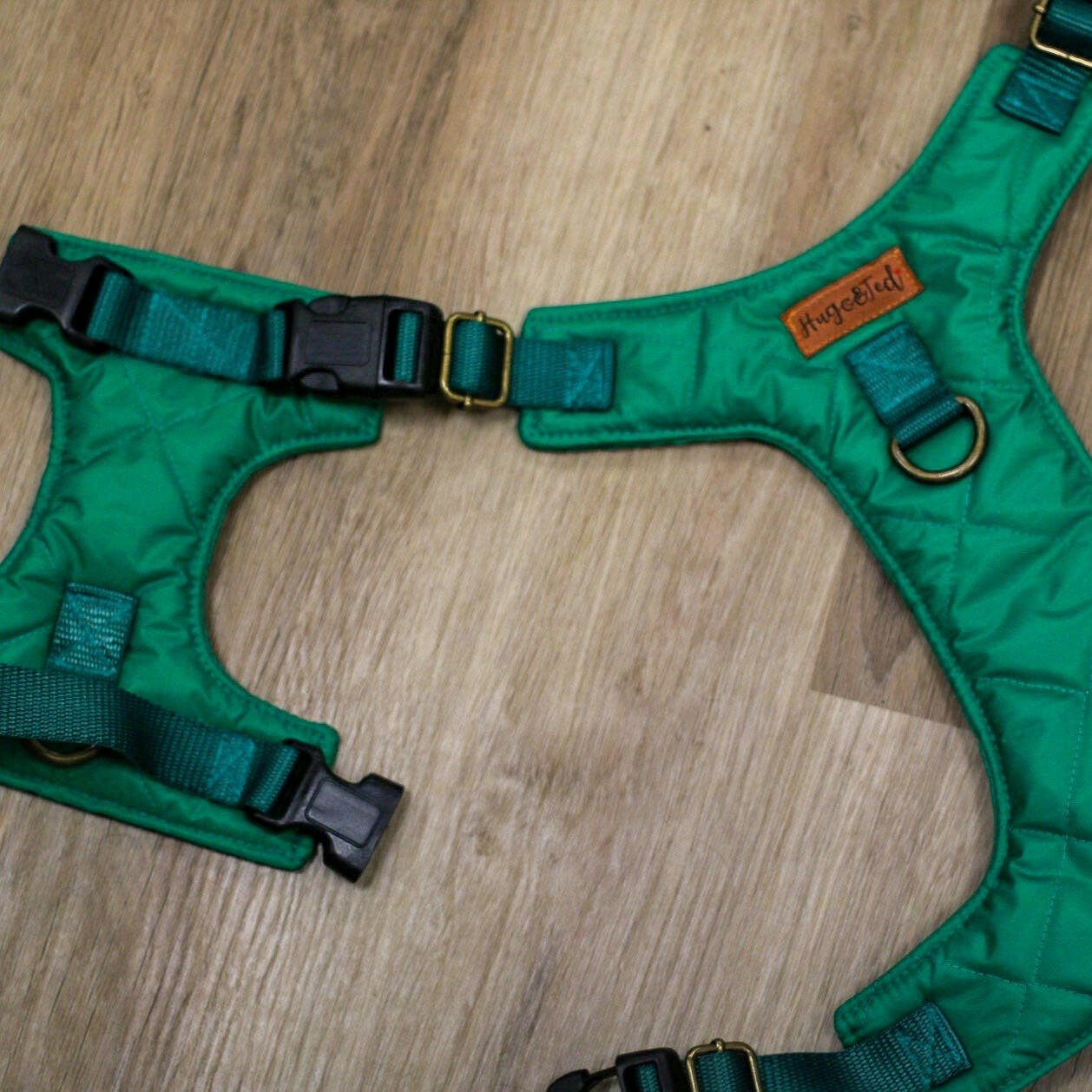 Explorer Harnesses - Hugo and Ted