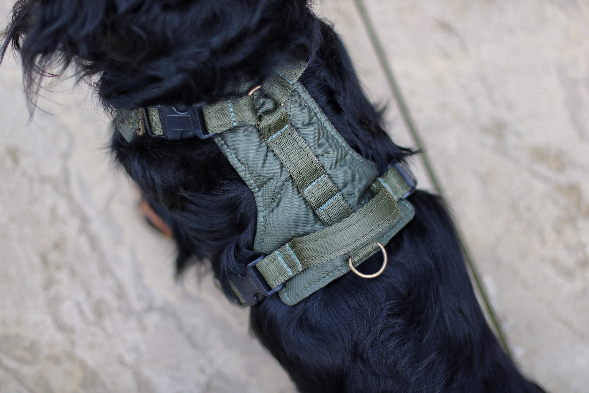 Explorer Harnesses – Quilted, Waterproof Step - In Dog Harness - Hugo and Ted