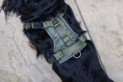 Explorer Harnesses – Quilted, Waterproof Step - In Dog Harness - Hugo and Ted