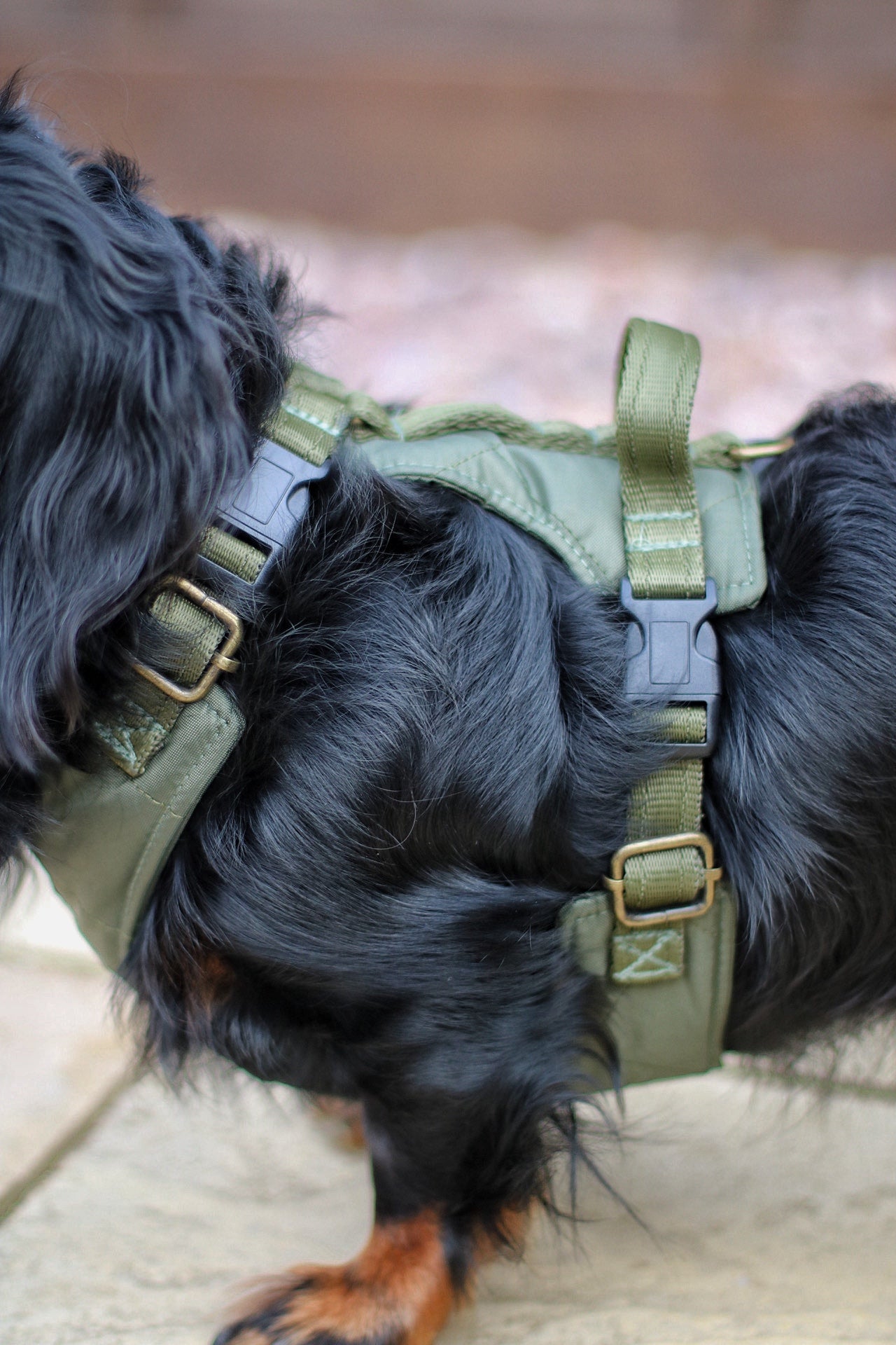 Explorer Harnesses – Quilted, Waterproof Step - In Dog Harness - Hugo and Ted