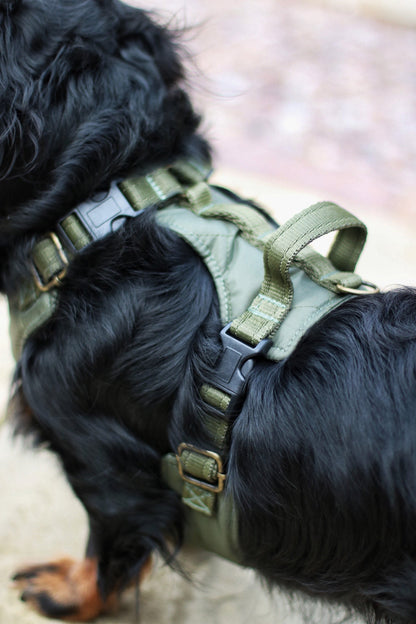 Explorer Harnesses – Quilted, Waterproof Step - In Dog Harness - Hugo and Ted