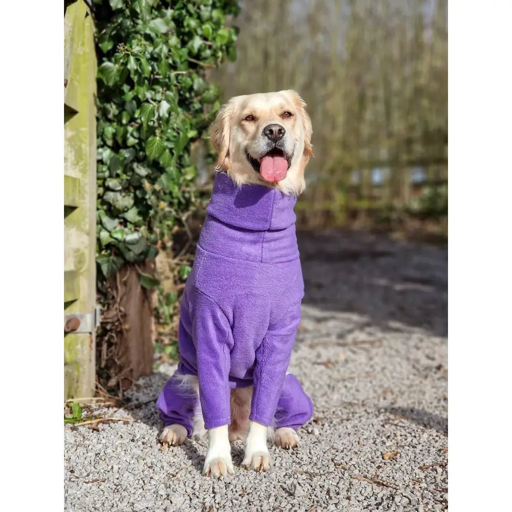 Fleece Dog Jumpsuit - Made to Measure | Hugo and Ted - Hugo and Ted