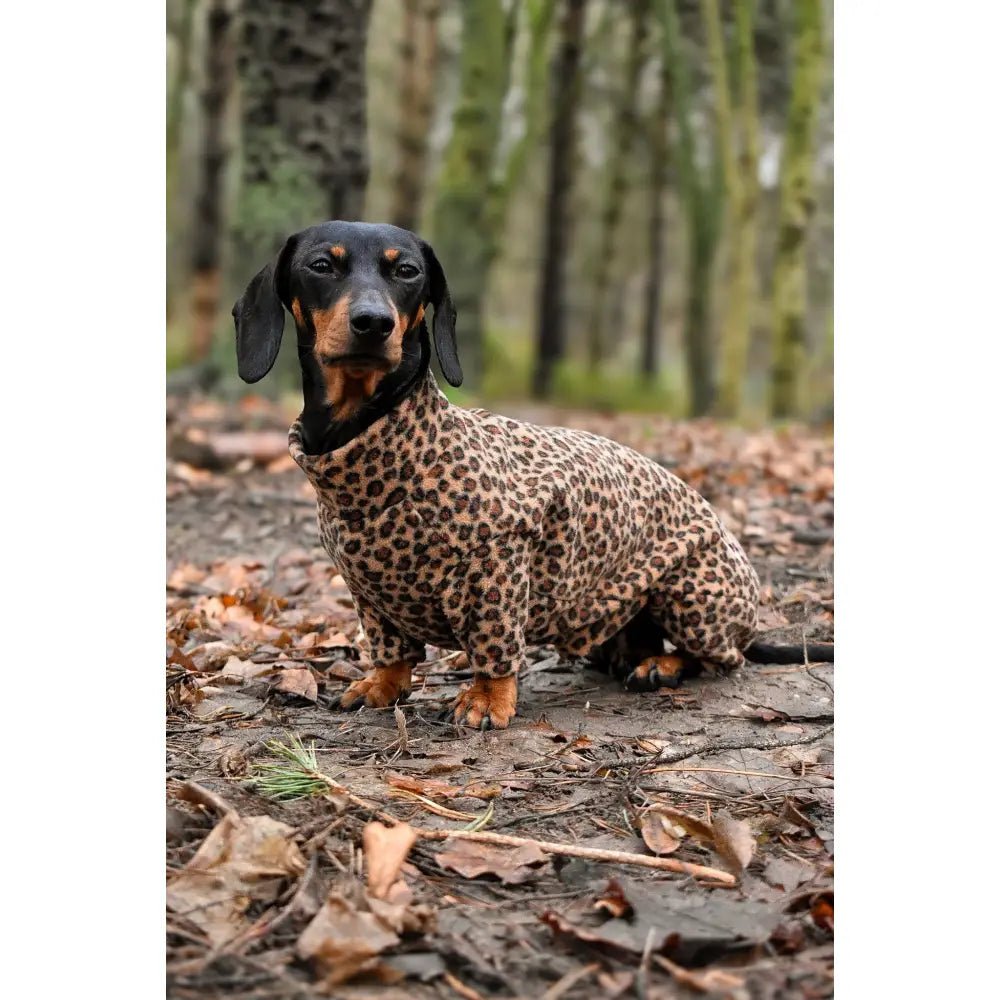 Fleece Dog Jumpsuit - Made to Measure | Hugo and Ted - Hugo and Ted