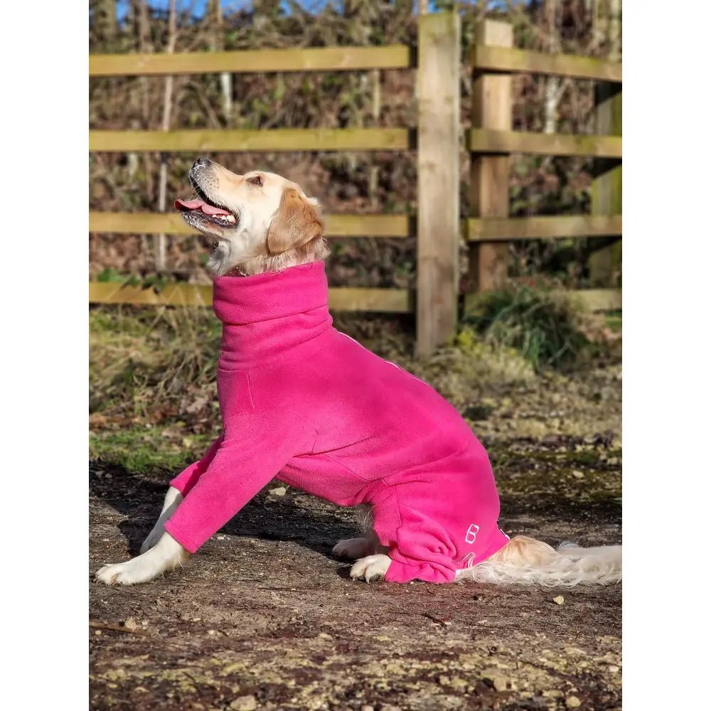 Fleece Dog Jumpsuit - Made to Measure | Hugo and Ted - Hugo and Ted