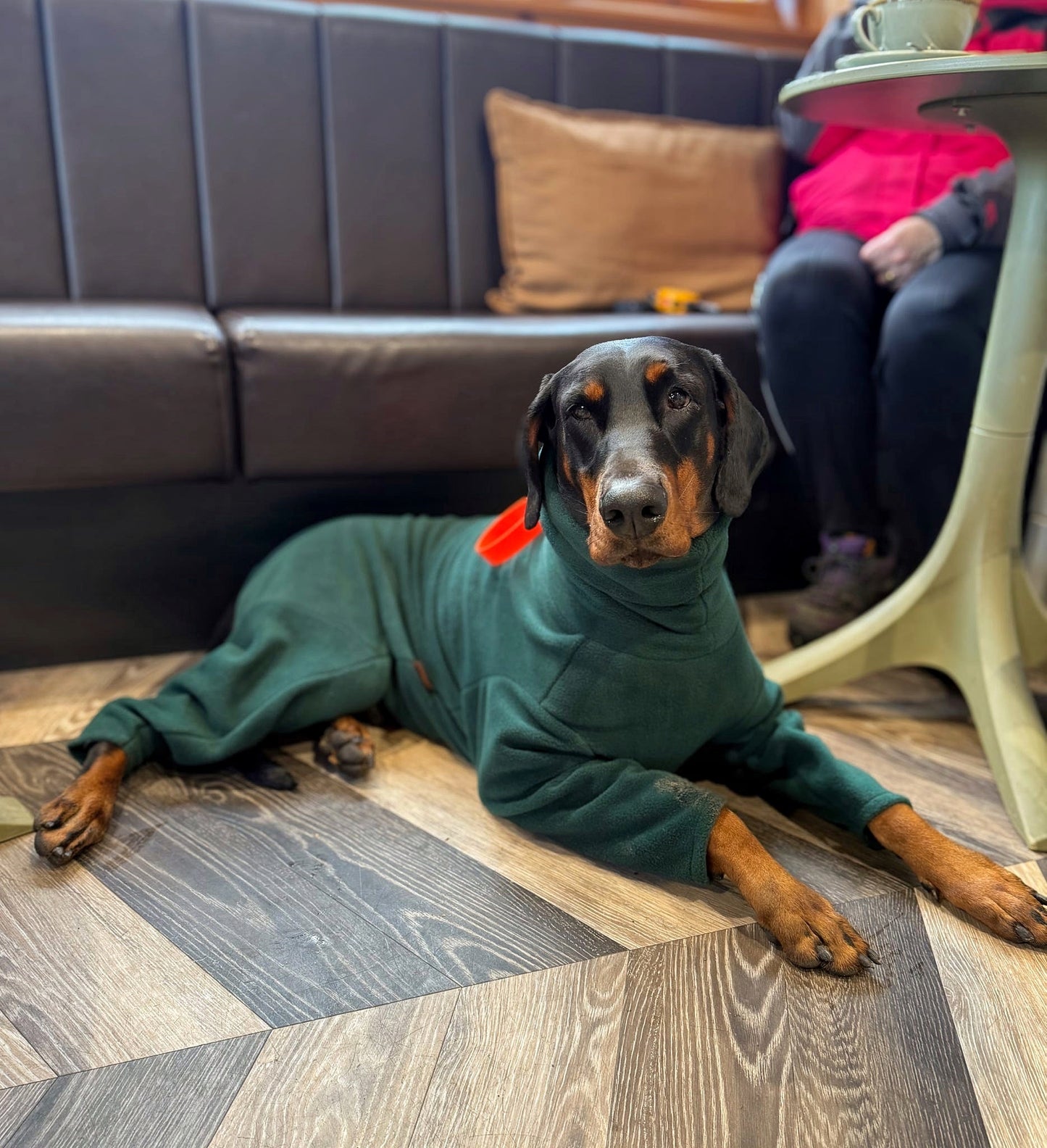 Fleece Dog Jumpsuit - Made to Measure, Personalised, Rainproof & Super Snug - Hugo and Ted