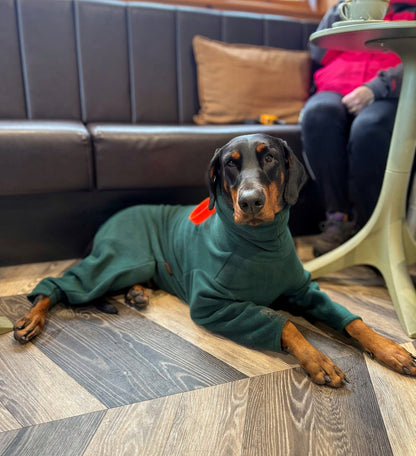 Fleece Dog Jumpsuit - Made to Measure, Personalised, Rainproof & Super Snug - Hugo and Ted