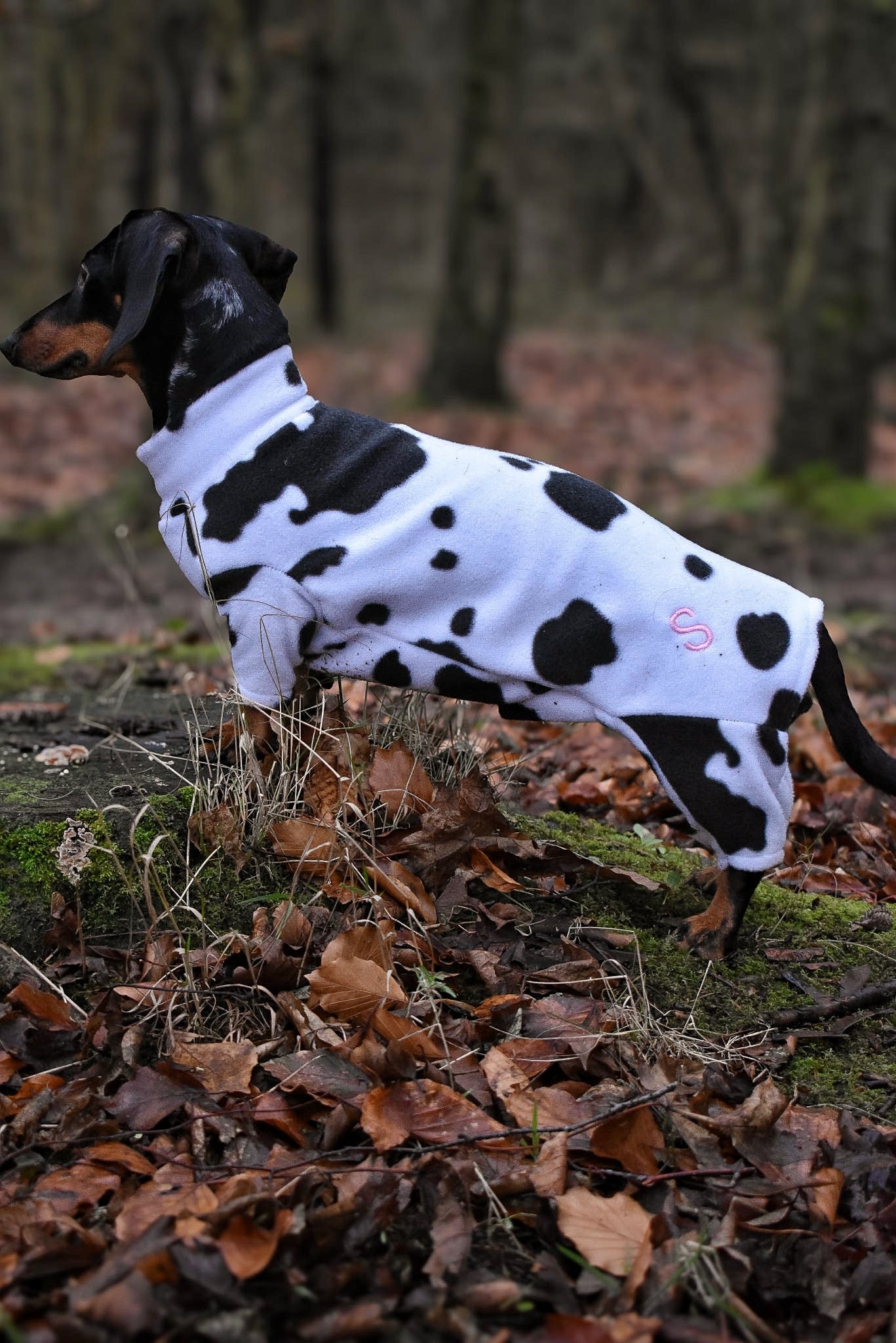 Fleece Dog Jumpsuit - Made to Measure, Personalised, Rainproof & Super Snug - Hugo and Ted