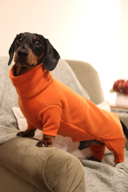 Fleece Dog Jumpsuit - Made to Measure, Personalised, Rainproof & Super Snug - Hugo and Ted