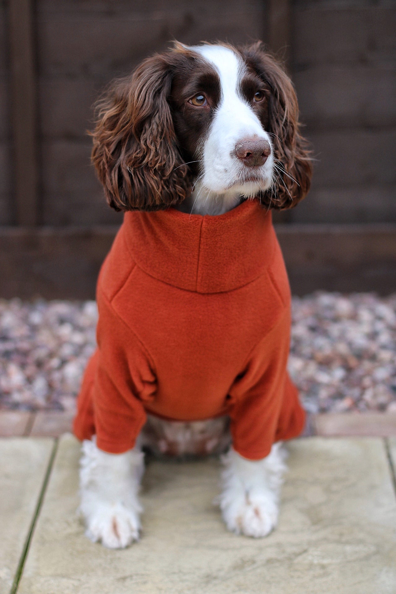 Fleece Dog Jumpsuit - Made to Measure, Personalised, Rainproof & Super Snug - Hugo and Ted