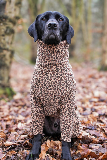 Fleece Dog Jumpsuit - Made to Measure, Personalised, Rainproof & Super Snug - Hugo and Ted