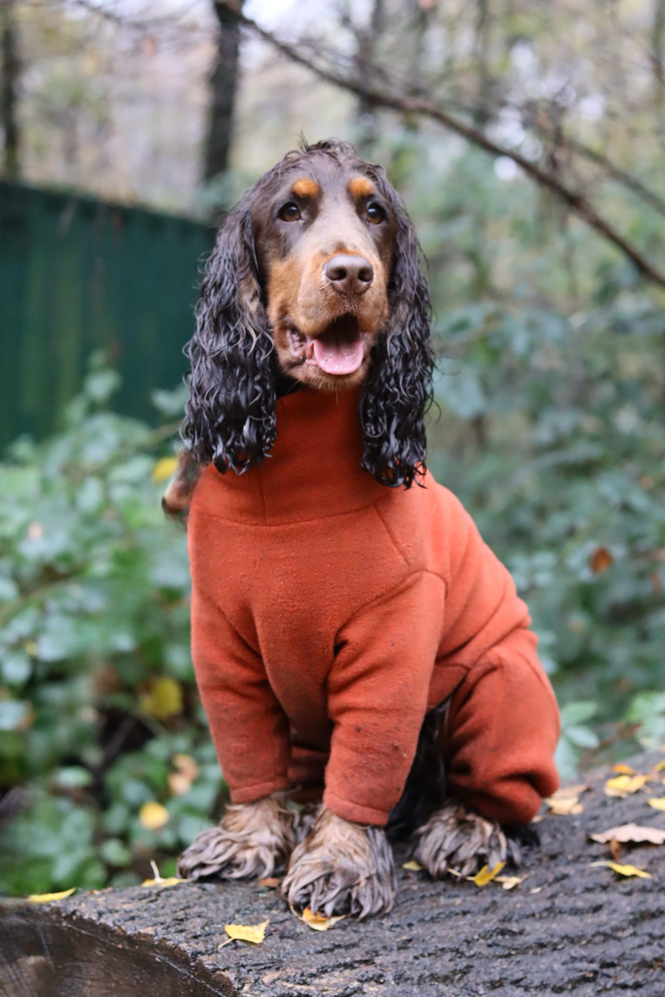 Fleece Dog Jumpsuit - Made to Measure, Personalised, Rainproof & Super Snug - Hugo and Ted