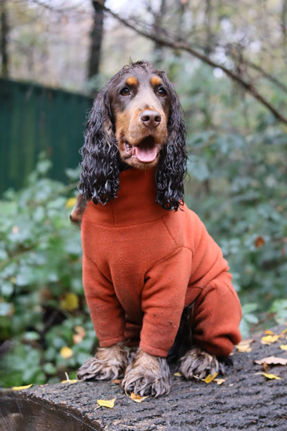 Fleece Dog Jumpsuit - Made to Measure, Personalised, Rainproof & Super Snug - Hugo and Ted