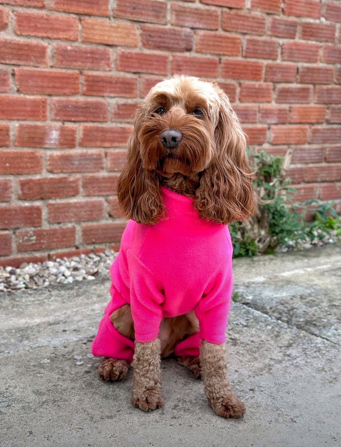 Fleece Dog Jumpsuit - Made to Measure, Personalised, Rainproof & Super Snug - Hugo and Ted