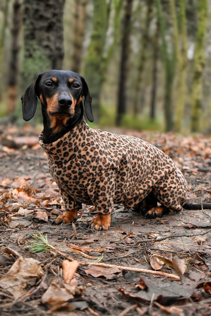 Fleece Dog Jumpsuit - Made to Measure, Personalised, Rainproof & Super Snug - Hugo and Ted