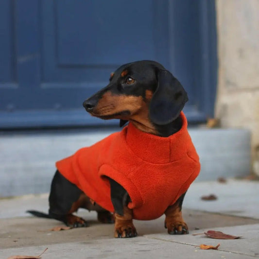 Fleece Dog Snuggle Jumper - Made to Measure - Hugo and Ted