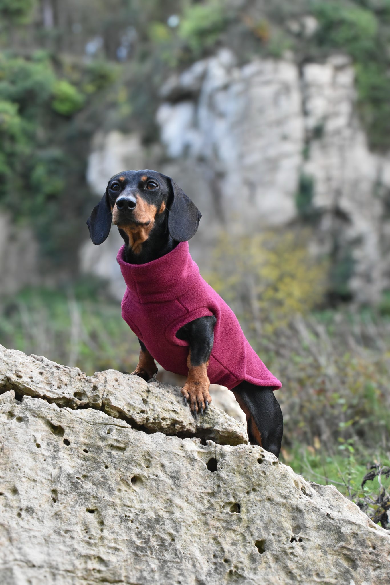 Fleece Dog Snuggle Jumper – Made - to - Measure, Custom Fit & Rainproof - Hugo and Ted