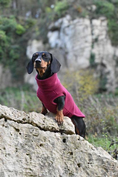 Fleece Dog Snuggle Jumper – Made - to - Measure, Custom Fit & Rainproof - Hugo and Ted