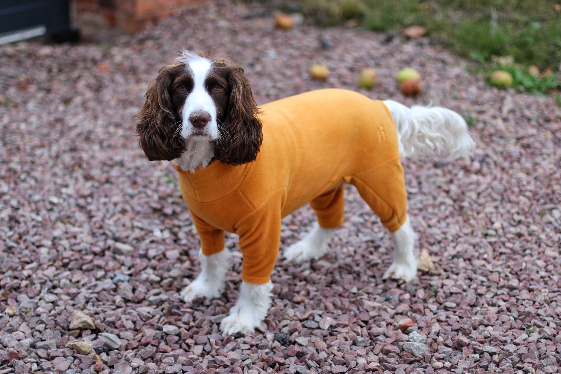 Fleece Dog Jumpsuit - Made to Measure, Personalised, Rainproof & Super Snug - Hugo and Ted