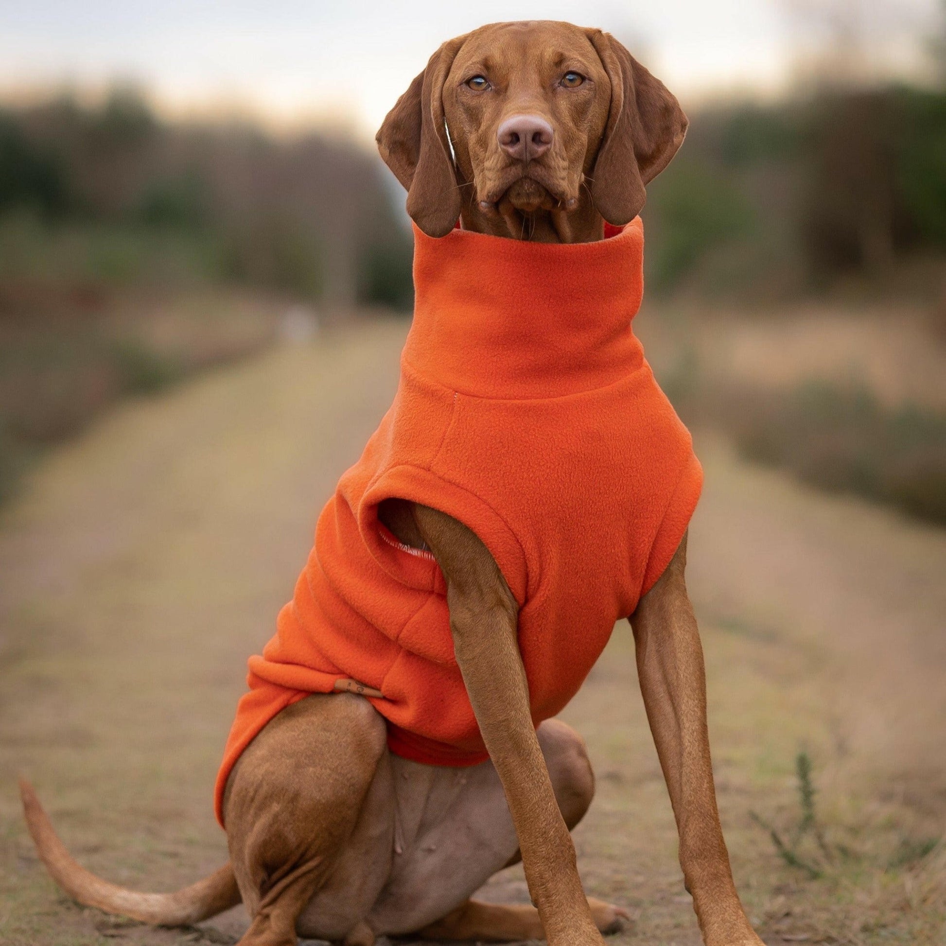 Fleece Snuggle Jumpers - Hugo and Ted