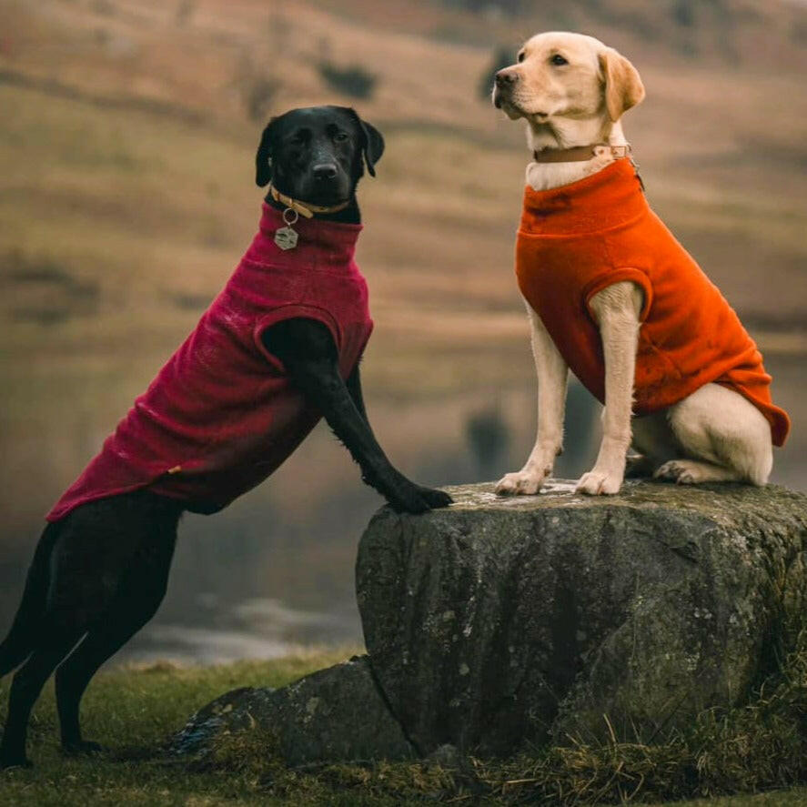 Fleece Snuggle Jumpers - Hugo and Ted