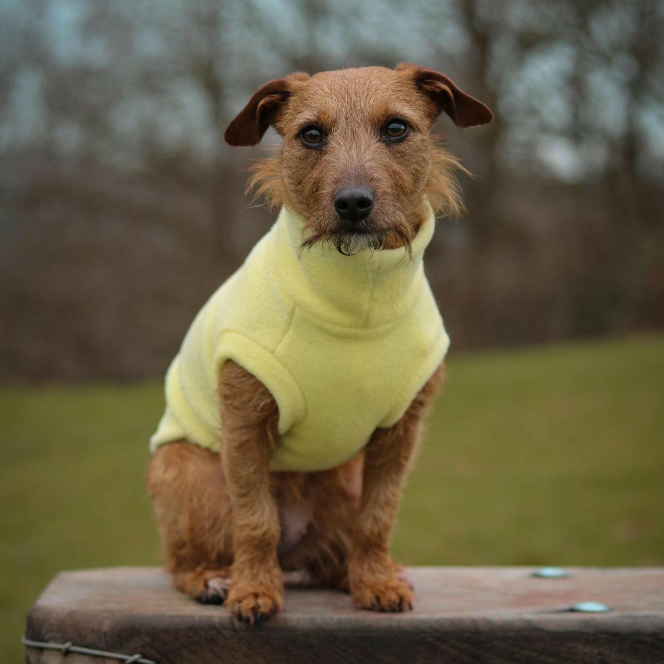 Fleece Snuggle Jumpers - Hugo and Ted