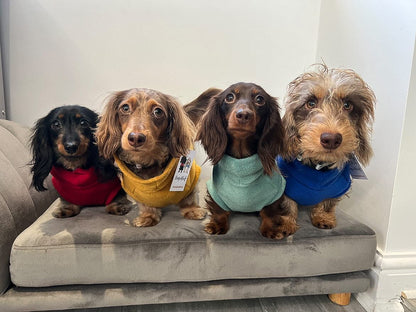 Fleece Snuggle Jumpers - Hugo and Ted