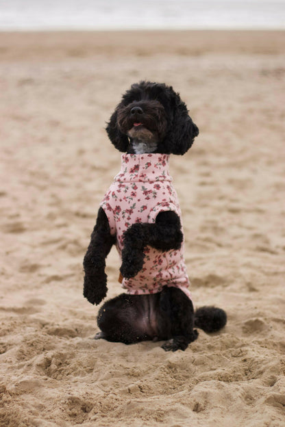Floral Dog Sweatshirts - Hugo and Ted