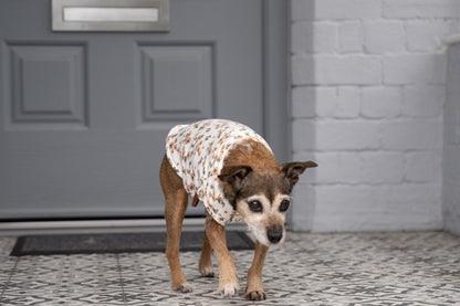 Floral Dog Sweatshirts – Stylish, Cosy & Made to Measure - Hugo and Ted