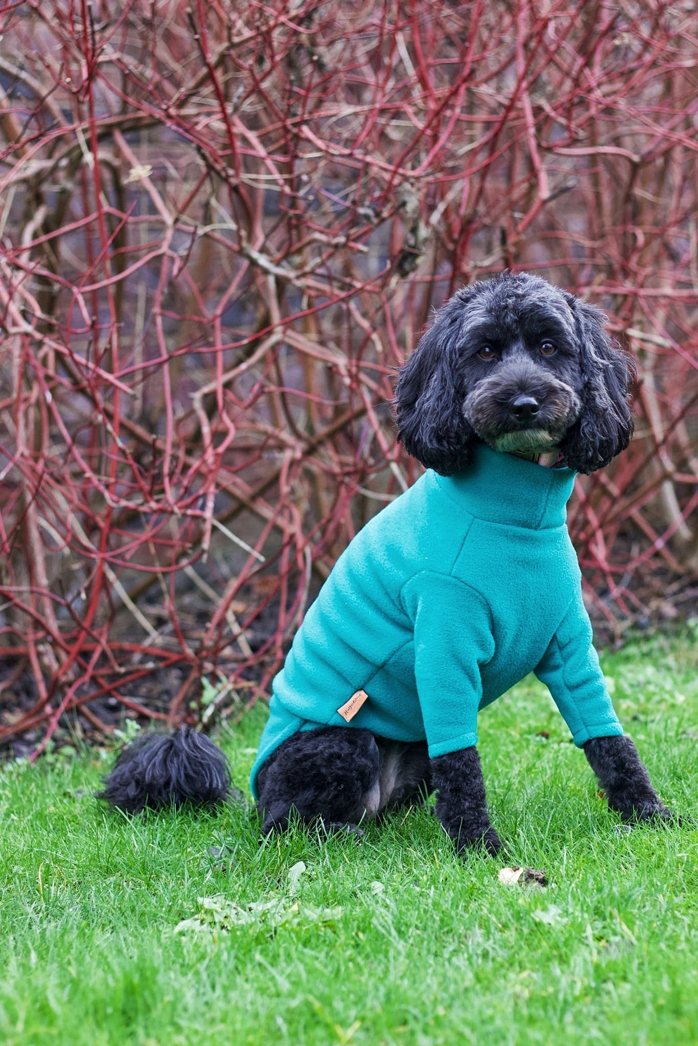 Front Leg Fleece Dog Snuggle Jumper – Comfy, Rainproof & Practical - Hugo and Ted