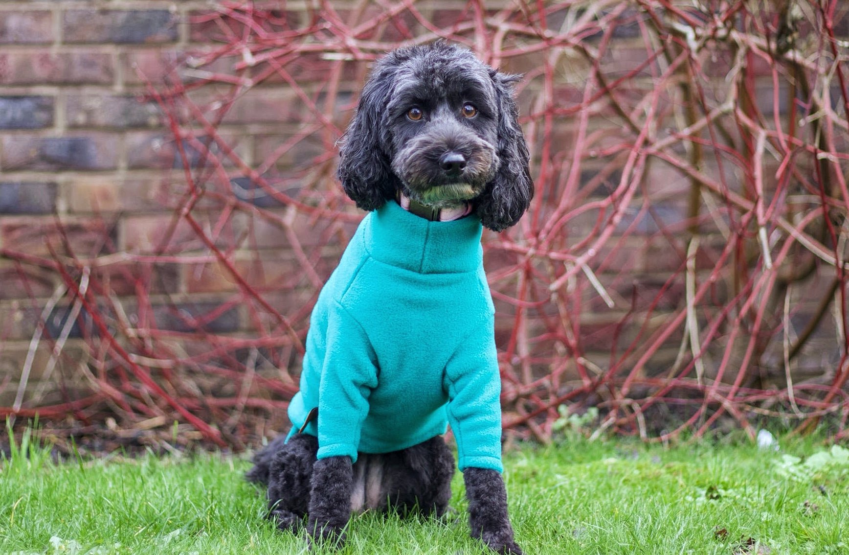 Front Leg Fleece Dog Snuggle Jumper – Comfy, Rainproof & Practical - Hugo and Ted