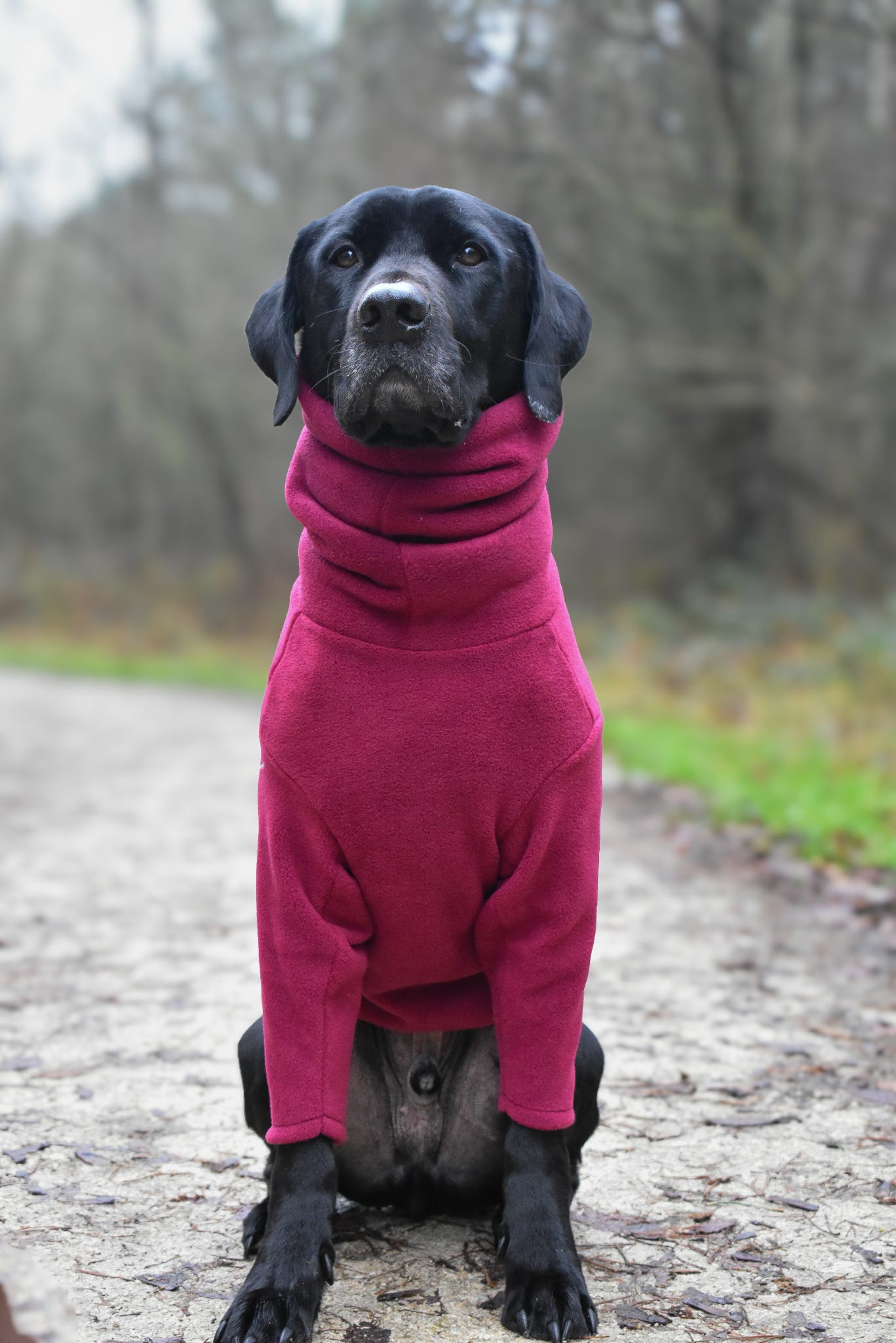 Front Leg Fleece Dog Snuggle Jumper – Comfy, Rainproof & Practical - Hugo and Ted