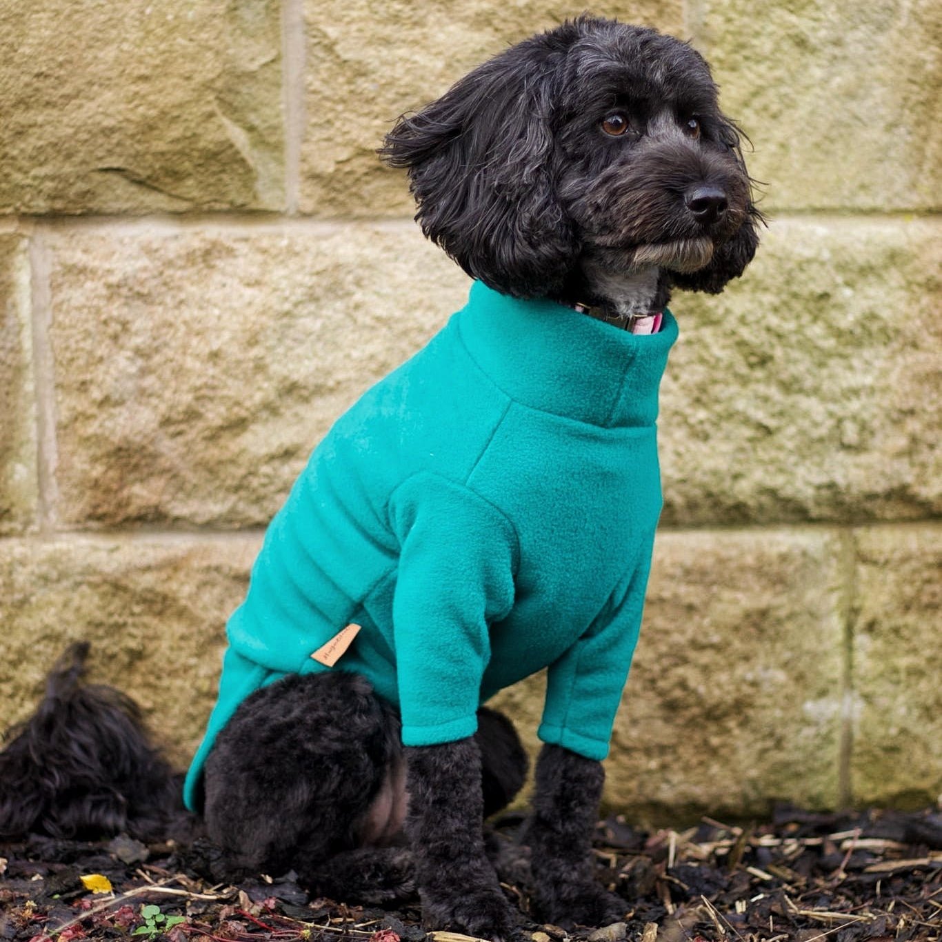 Front Leg Fleece Dog Snuggle Jumper – Comfy, Rainproof & Practical - Hugo and Ted