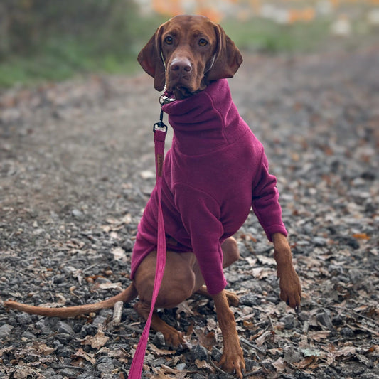 Front Leg Fleece Dog Snuggle Jumper – Comfy, Rainproof & Practical - Hugo and Ted