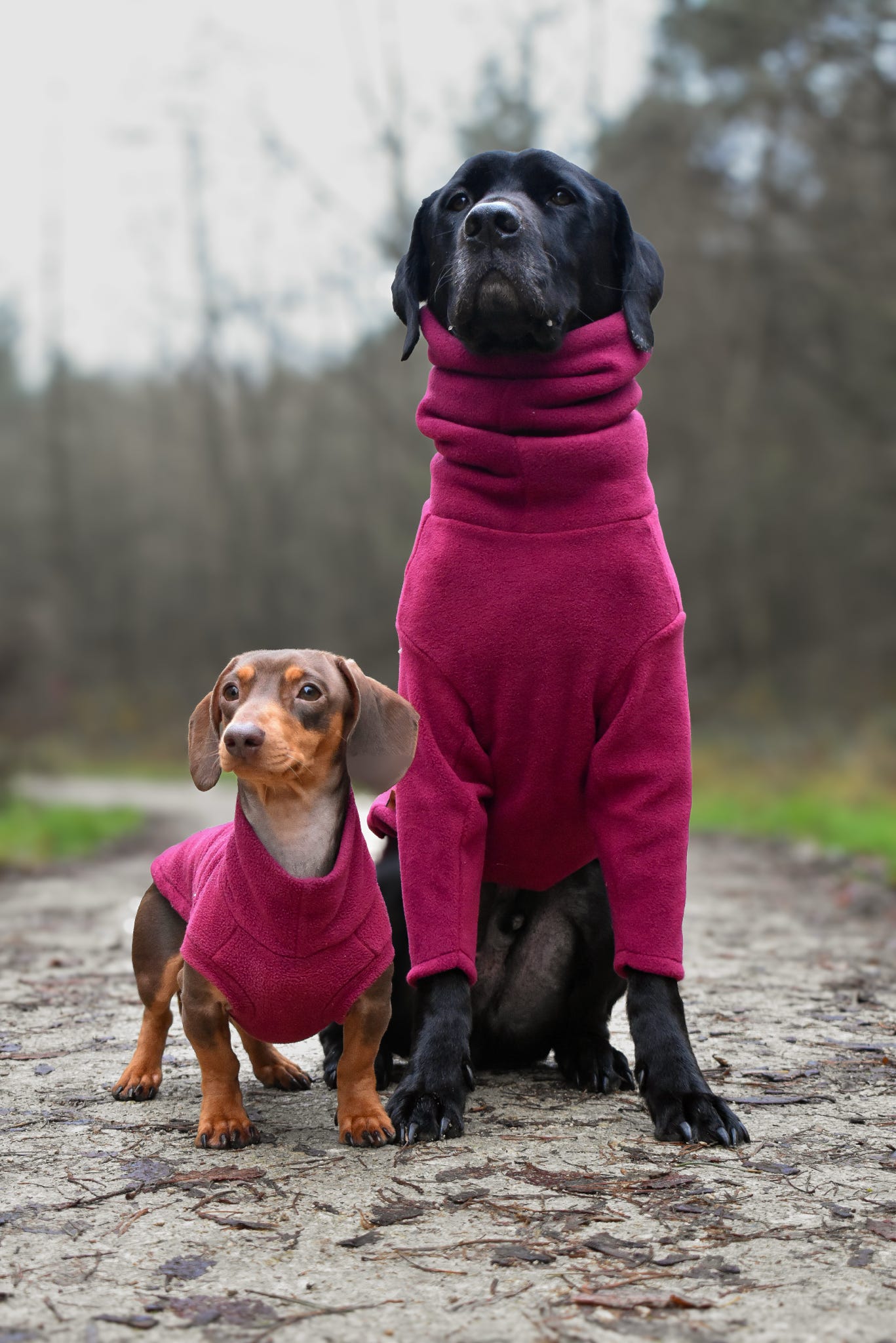 Front Leg Fleece Dog Snuggle Jumper – Comfy, Rainproof & Practical - Hugo and Ted
