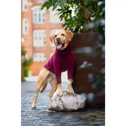 Front Leg Fleece Dog Snuggle Jumper - Made to Measure - Hugo and Ted