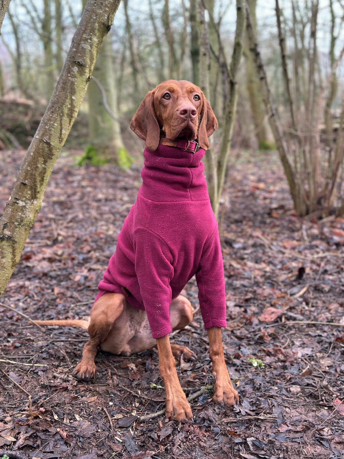 Front Leg Fleece Dog Snuggle Jumper - Made to Measure - Hugo and Ted