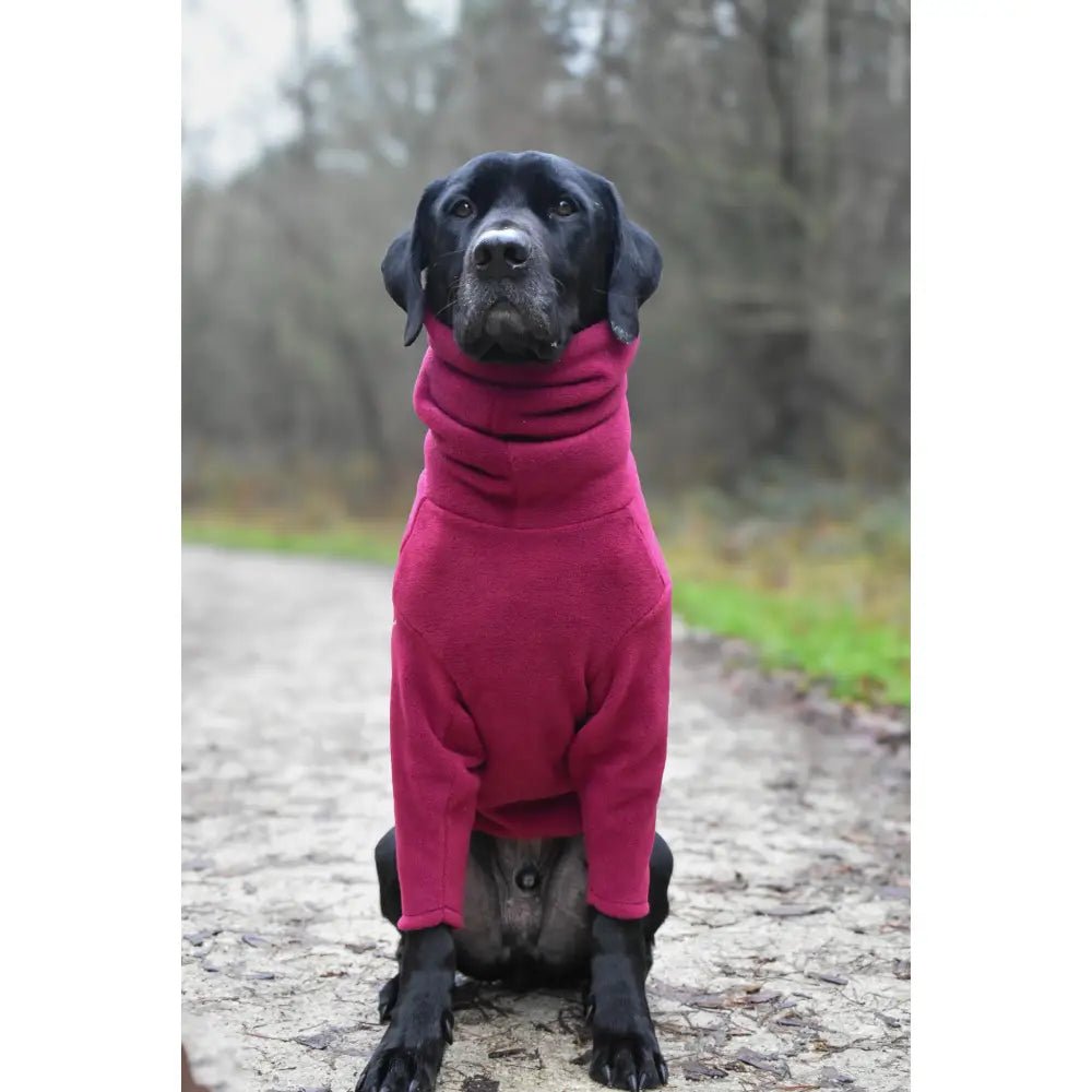 Front Leg Fleece Dog Snuggle Jumper - Made to Measure - Hugo and Ted