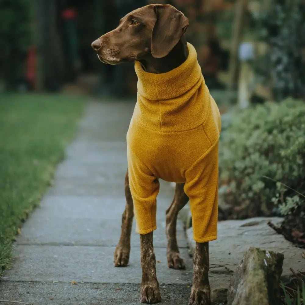 Front Leg Fleece Dog Snuggle Jumper - Made to Measure - Hugo and Ted