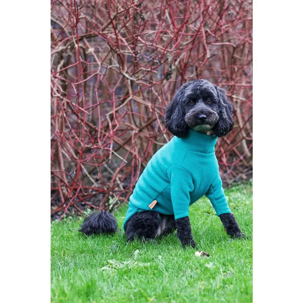 Front Leg Fleece Dog Snuggle Jumper - Made to Measure - Hugo and Ted