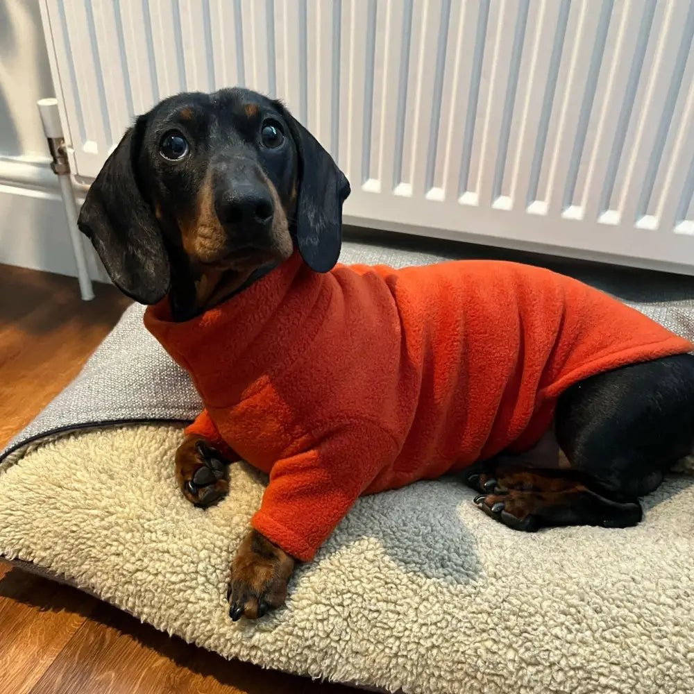 Front Leg Fleece Dog Snuggle Jumper - Made to Measure - Hugo and Ted