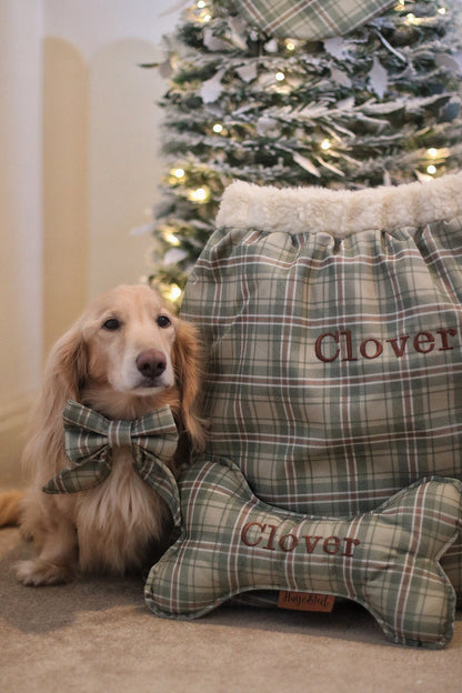 Cream dachshund in a Heritage sailor bow by a Christmas tree