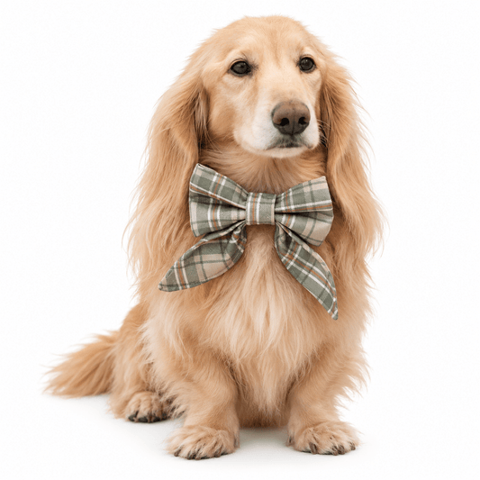 Heritage Collection Dog Sailor Bow - Hugo and Ted