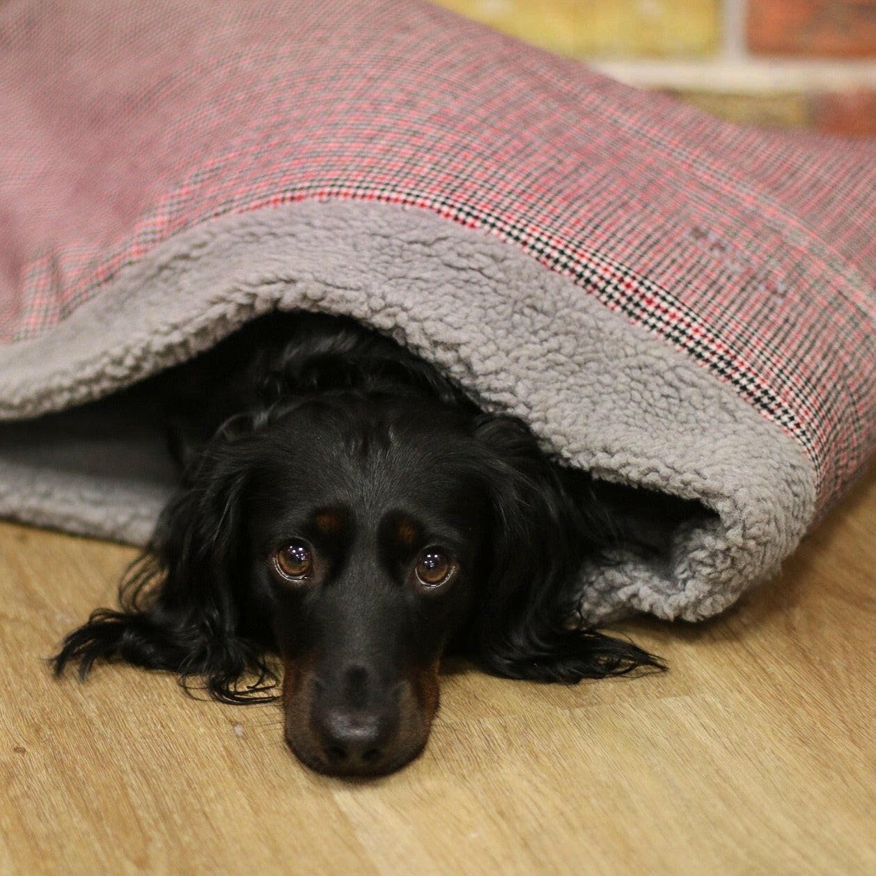 Heritage Collection Snuggle Sacks - Hugo and Ted