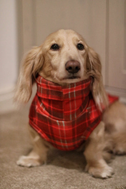 Hugo and Ted Christmas Tartan Fleece Snuggle Jumpers - Hugo and Ted