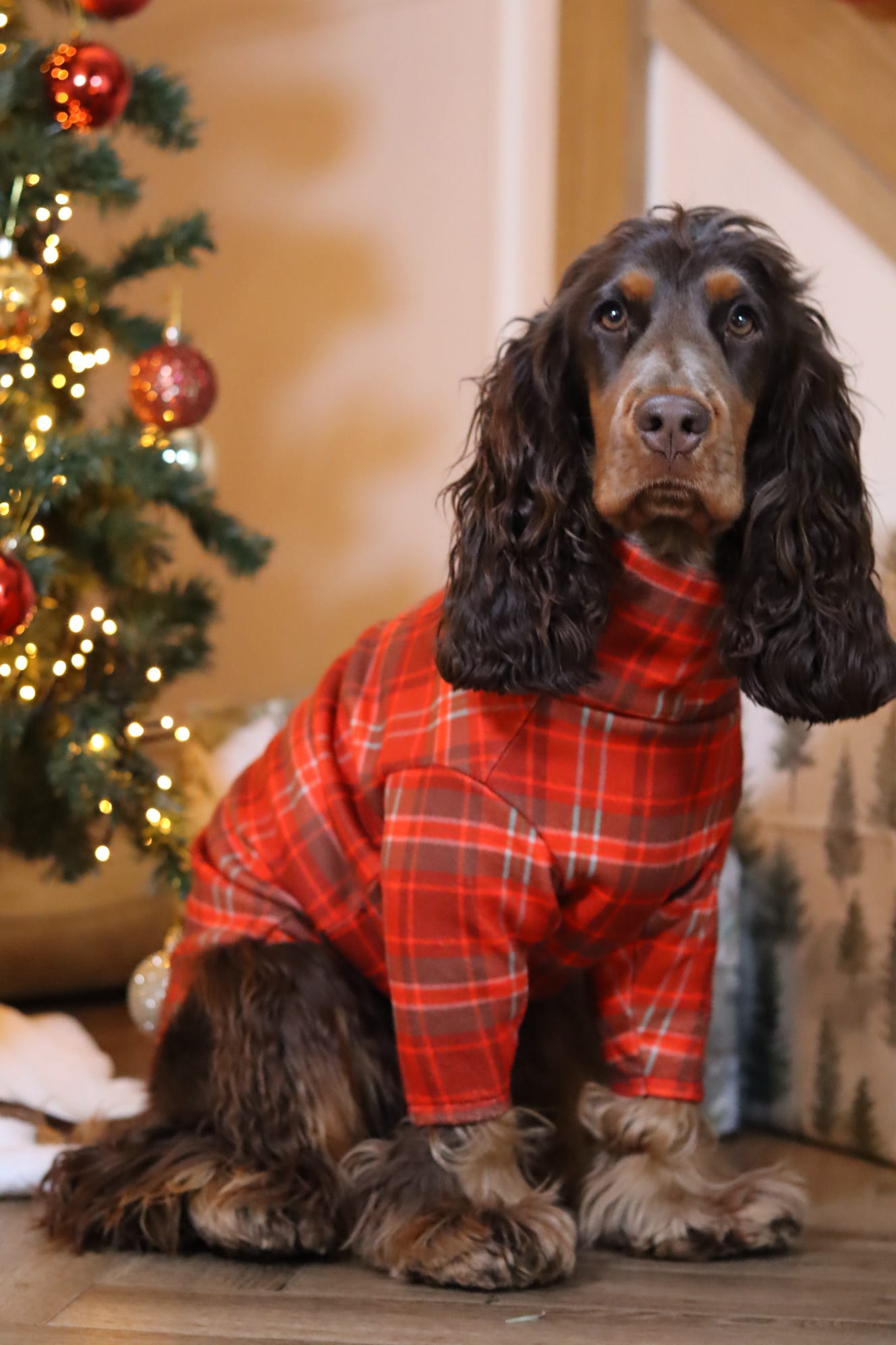 Hugo and Ted Christmas Tartan Fleece Snuggle Jumpers - Hugo and Ted