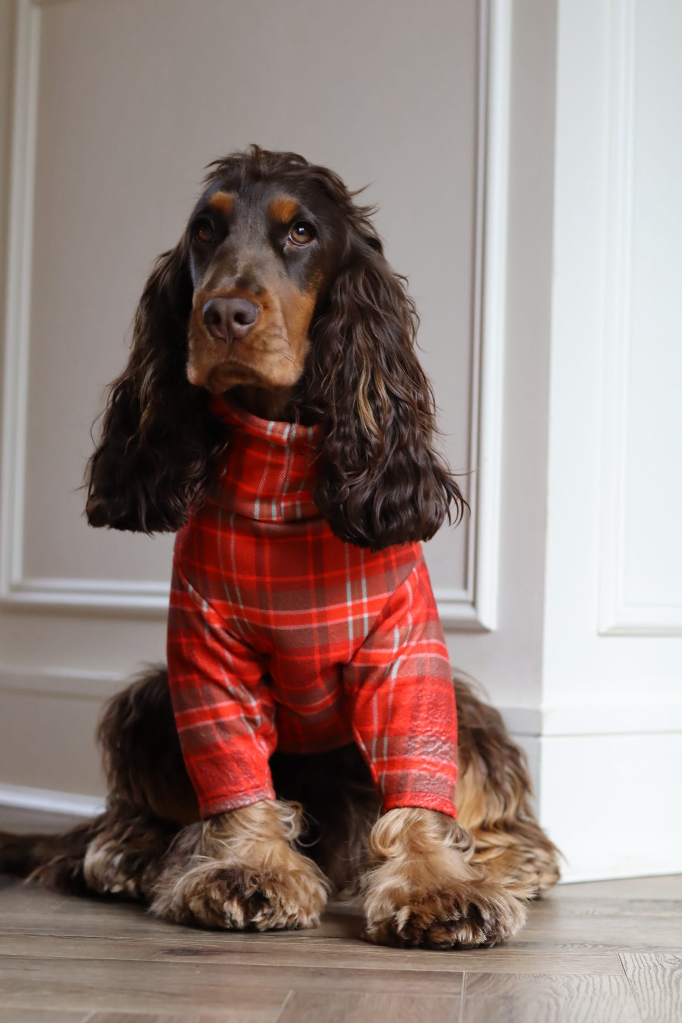 Hugo and Ted Christmas Tartan Fleece Snuggle Jumpers - Hugo and Ted