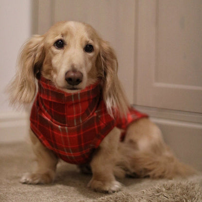 Hugo and Ted Christmas Tartan Fleece Snuggle Jumpers - Hugo and Ted