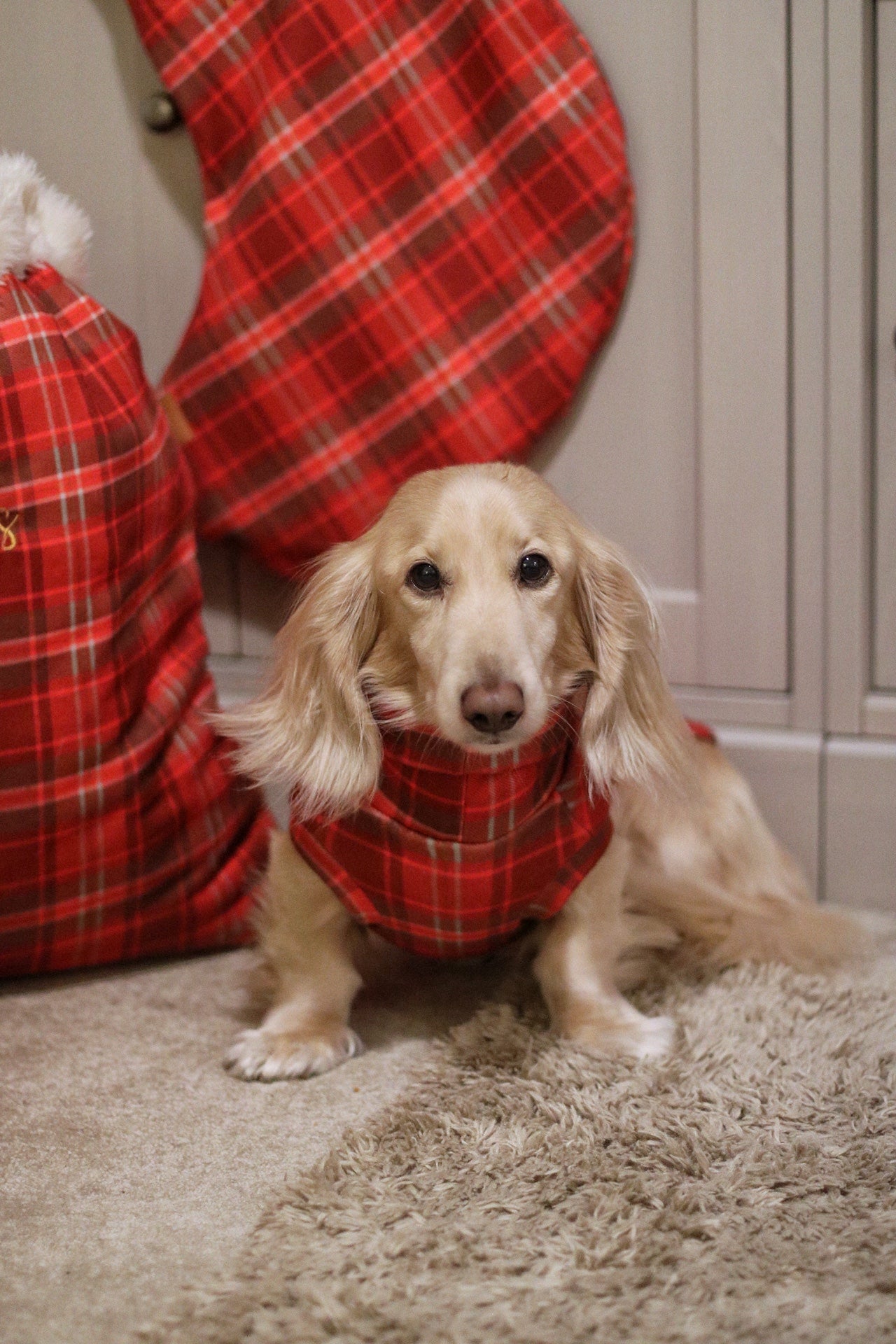 Hugo and Ted Christmas Tartan Fleece Snuggle Jumpers - Hugo and Ted