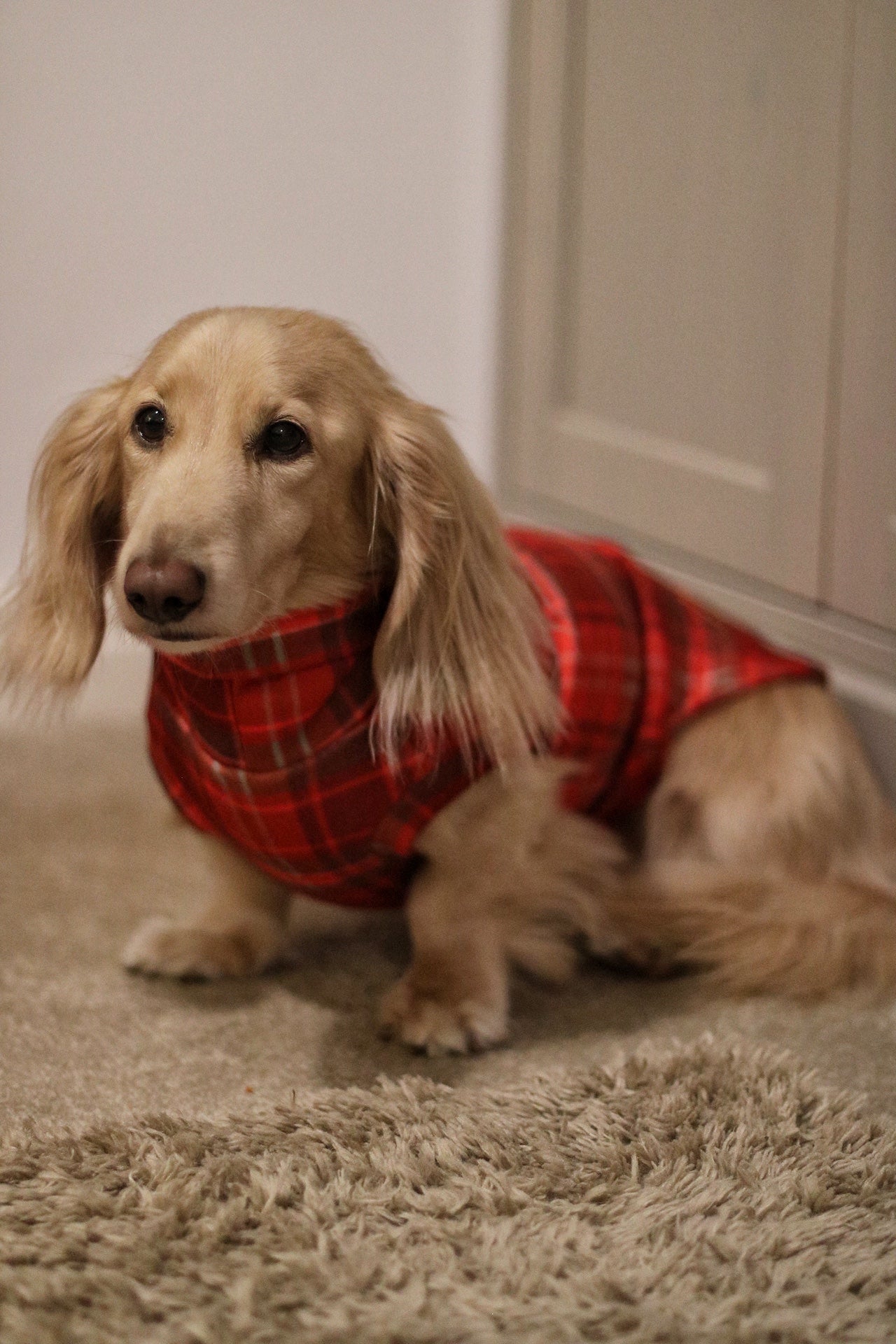 Hugo and Ted Christmas Tartan Fleece Snuggle Jumpers - Hugo and Ted